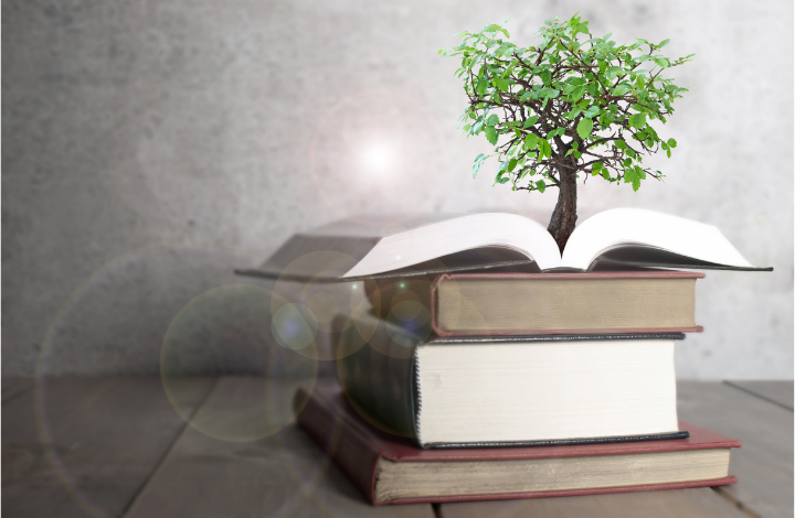 Tree growing from stack of books